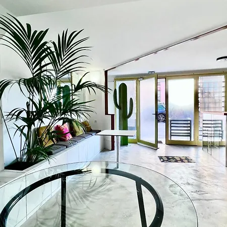 Coliving Type Hostal Ajaccio (Corsica)