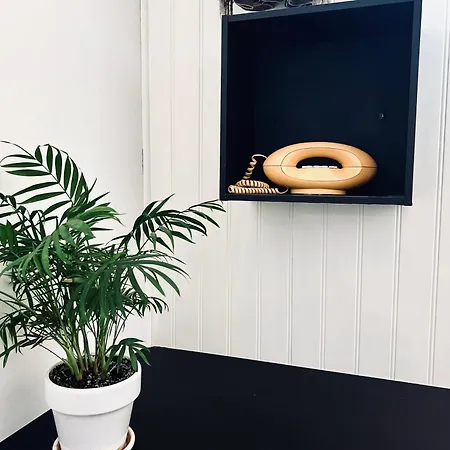 Coliving * Ajaccio (Corsica)