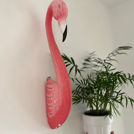 Hostal Coliving Type