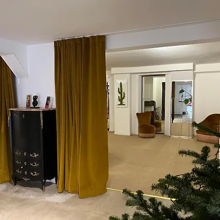 Hostal Coliving Type Ajaccio (Corsica)